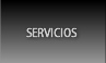 Servicios